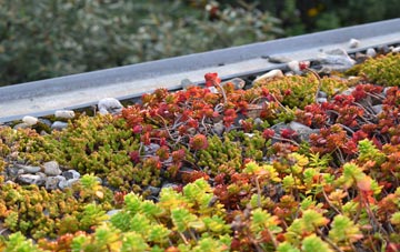 the cost of Leadburn green roof installation