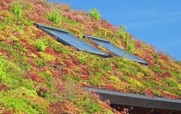Leadburn living roof systems